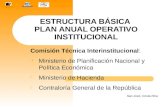 ESTRUCTURA BÁSICA  PLAN ANUAL OPERATIVO INSTITUCIONAL