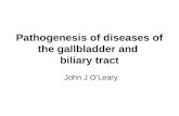 Pathogenesis of diseases of the gallbladder and  biliary tract