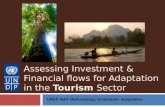 Assessing Investment & Financial flows for Adaptation in the  Tourism  Sector
