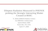 Dilepton Radiation Measured in PHENIX probing the Strongly Interacting Matter Created at RHIC