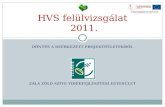 HVS felülvizsgálat  2011.
