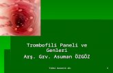 Trombofili Paneli ve Genleri Arş. Grv. Asuman ÖZGÖZ