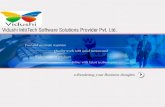 Vidushi Infotech Software Solutions Provider Pvt. Ltd.