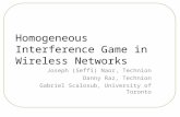 Homogeneous Interference Game in Wireless Networks