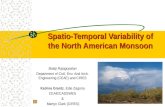 Spatio-Temporal Variability of the North American Monsoon