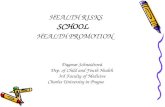 HEALTH RISKS SCHOOL  HEALTH PROMOTION