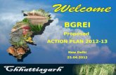 BGREI Proposed  ACTION PLAN 2012-13 New Delhi 25.04.2012