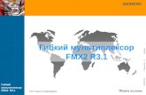 Гибкий мультиплексор FMX2 R3.1