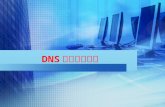 DNS 服务器的管理