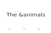 The &animals