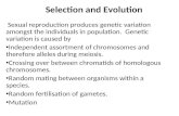Selection  and Evolution