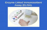 Enzyme Linked Immunosorbent Assay (ELISA).