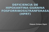 Deficiencia de  Hipoxantina -guanina  fosforribosiltranferasa ( Hprt )