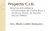 Proyecto C.I.D.