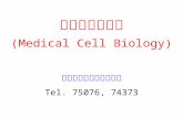 医学细胞生物学 (Medical Cell Biology) 基础部细胞生物学教研室 Tel. 75076, 74373
