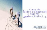 Curso de  Básico de Reservas e Tarifas - Amadeus Vista 3.1