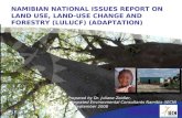 NAMIBIAN NATIONAL ISSUES REPORT ON LAND USE, LAND-USE CHANGE AND FORESTRY (LULUCF) (ADAPTATION)