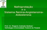 Nefroproteção e o  Sistema  Renina-Angiotensina-Aldosterona