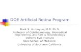 DOE Artificial Retina Program