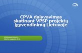 CPVA dalyvavimas skatinant VPSP projektų įgyvendinimą Lietuvoje