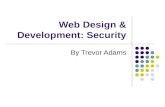 Web Design & Development: Security