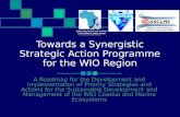 Towards a Synergistic Strategic Action Programme for the WIO Region