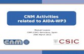 CNM Activities  related to AIDA-WP3