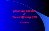 Glomerular Filtration &  Factors Affecting GFR A.A.J.Rajaratne