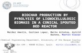 BIOCHAR PRODUCTION BY PYROLYSIS OF LIGNOCELLULOSIC BIOMASS IN A CONICAL SPOUTED BED REACTOR