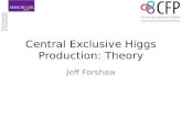 Central Exclusive Higgs Production: Theory