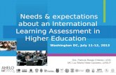 N eeds & expectations about an International Learning Assessment in Higher Education