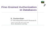 Fine-Grained Authorization in Databases