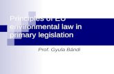 Principles of EU environmental law in primary legislation