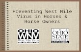 Preventing West Nile Virus in Horses & Horse Owners