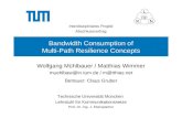 Bandwidth Consumption of Multi-Path Resilience Concepts