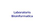 Laboratorio Bioinformatica
