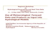 Use of Meteorological Forecast Data and Products as Input into Hydrological Models
