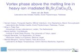 Vortex phase above the melting line in heavy-ion irradiated Bi 2 Sr 2 CaCu 2 O 8