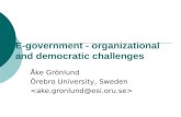 E-government - organizational and democratic challenges