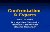 Confrontation  & Experts