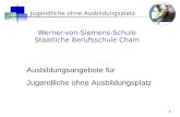 Werner-von-Siemens-Schule Staatliche Berufsschule Cham