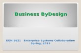 Business  ByDesign