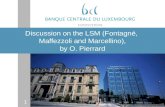 Discussion on the LSM (Fontagné,  Maffezzoli and Marcellino), by O. Pierrard