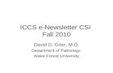 ICCS e-Newsletter CSI  Fall 2010
