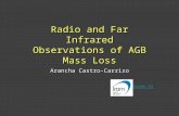 Radio and Far Infrared Observations of AGB Mass Loss