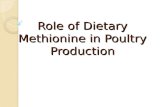 Role of Dietary  Methionine  in Poultry Production