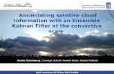 Assimilating satellite cloud information with an Ensemble Kalman Filter at the convective scale