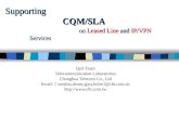 Supporting CQM/SLA on  Leased Line  and  IP/VPN  Services
