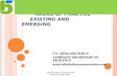 AREAS OF PRACTICE      EXISTING AND  EMERGING