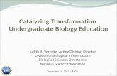 Catalyzing Transformation  Undergraduate Biology Education
